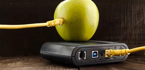 Ein Apfel ist per Kabel mit einem Router verbunden