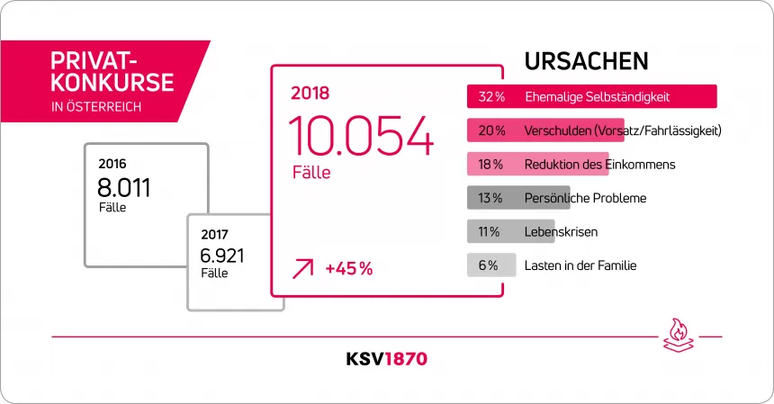 KSV_Infografik_Privatkonkurse2018