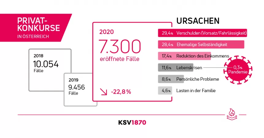 KSV1870 Privatkonkurse 2020 Ursachen