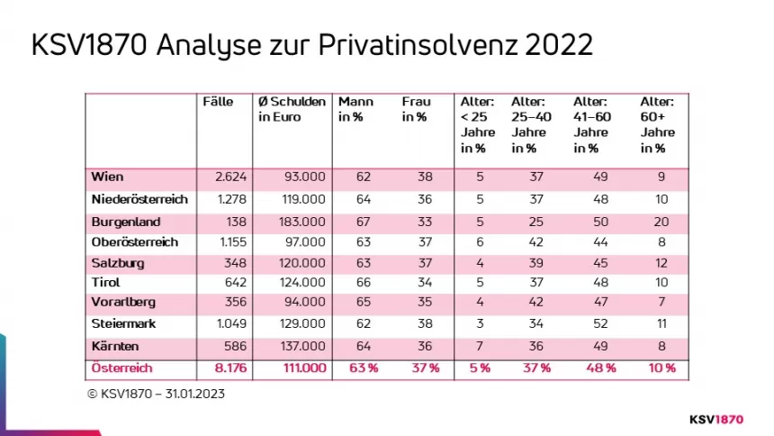 Privatinsolvenzen 2022_Detailanalyse