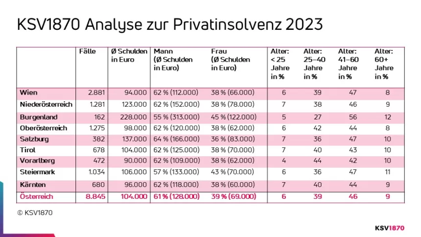 Grafik zur den Zahlen Privatinsolvenz 2023