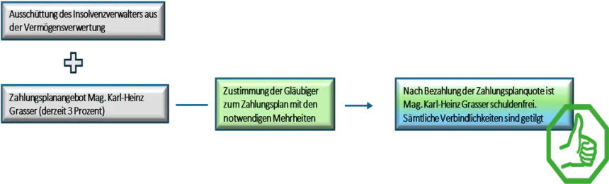 Grafische Darstellung Zustimmung Zahlungsplan Privatkonkurs Karl-Heinz Grasser