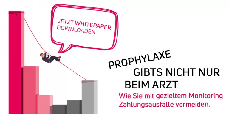 Whitepaper: "Prophylaxe gibt’s nicht nur beim Arzt."