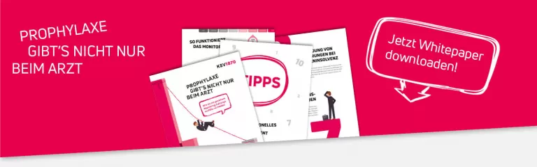 Drei Ausschnitte aus dem Whitepaper zum Thema Prophylaxe mit dem Text 'Prophylaxe gibt's nicht nur beim Arzt' und Hinweis 'Jetzt Whitepaper downloaden'