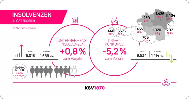 KSV1870 Insolvenzentwicklung 2019 HR