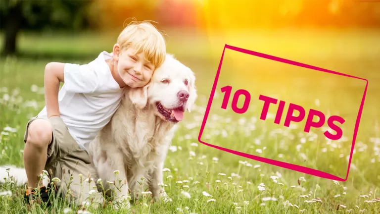 10 Tipps beim Hausbau