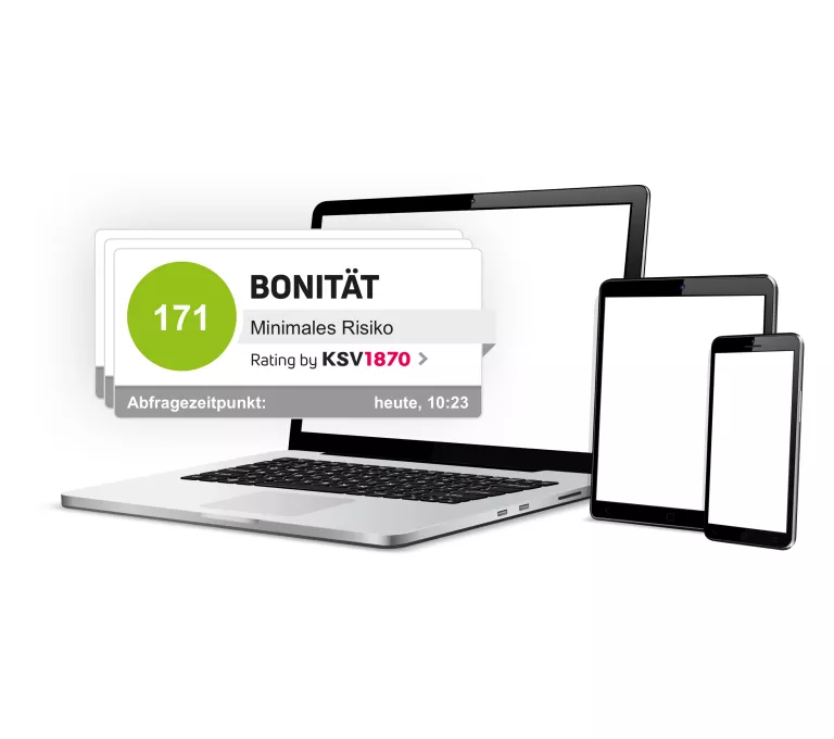 Anwendung des BonitätLabels im Internet