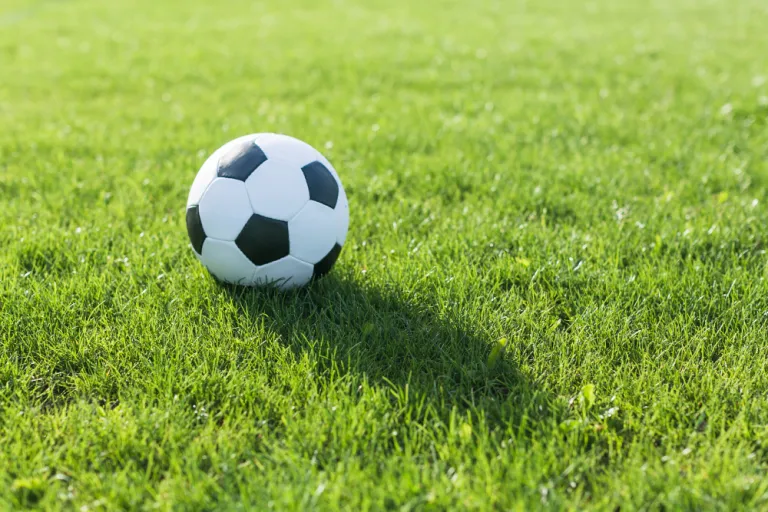 Fußball im Gras