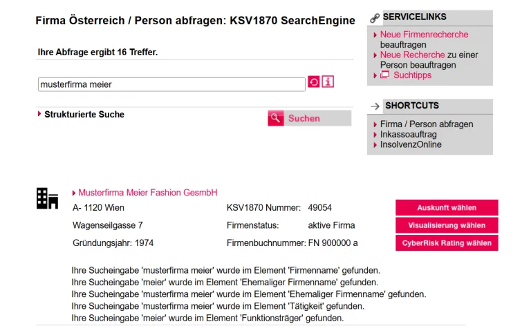 Visualisierung starten