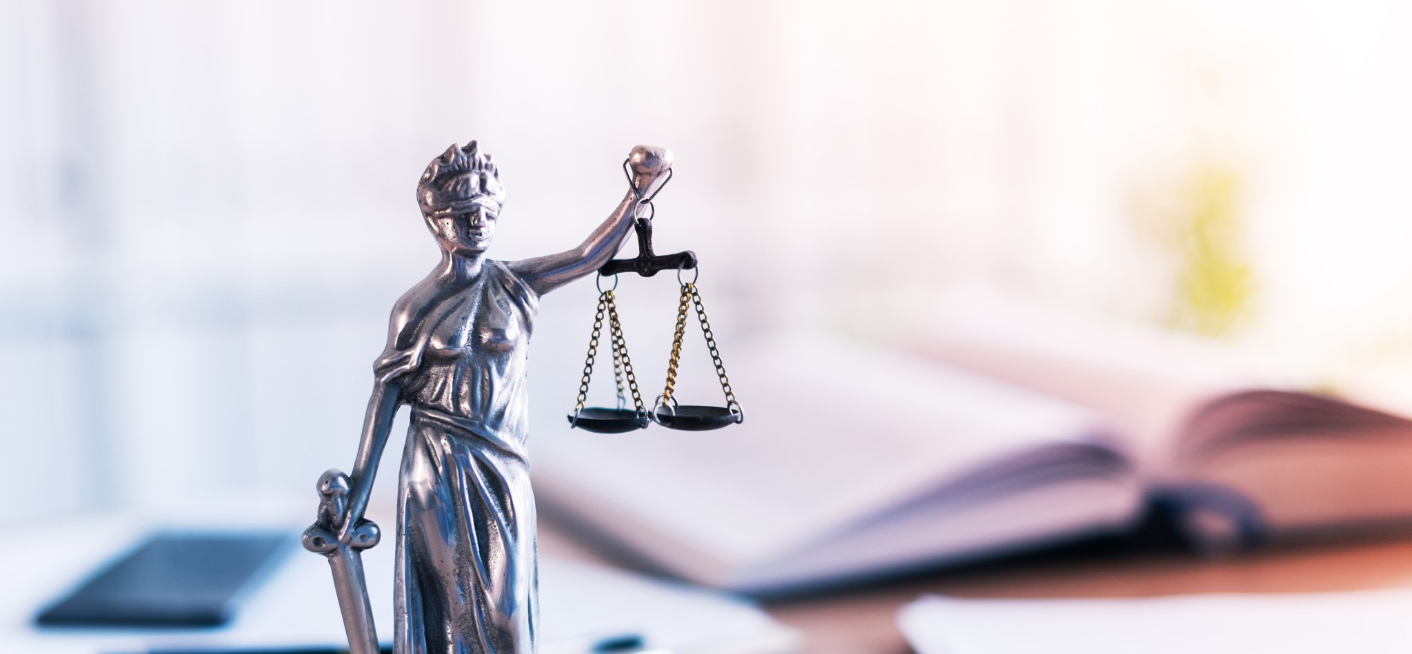 was bedeutet abgesonderte befriedigung wird geltend gemacht Wissen über Unternehmensinsolvenzen